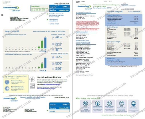 USA Consumers Energy utility bill template in Word and PDF formats, 2 pages